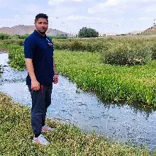 رضا یعقوبی