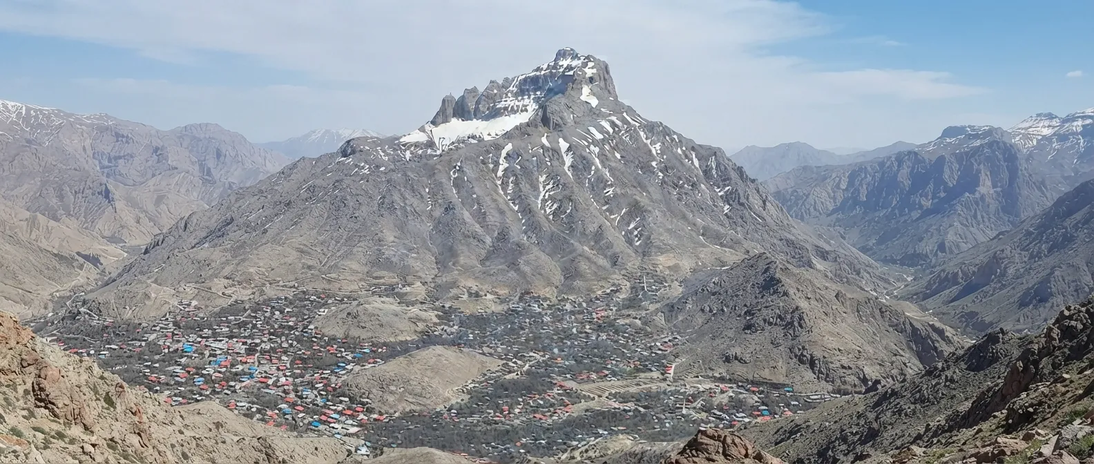 شیر کوه
