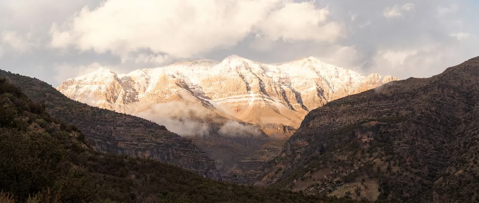 زرد کوه