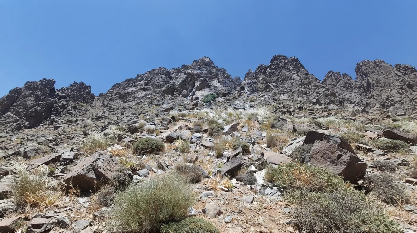 کمرسیاه