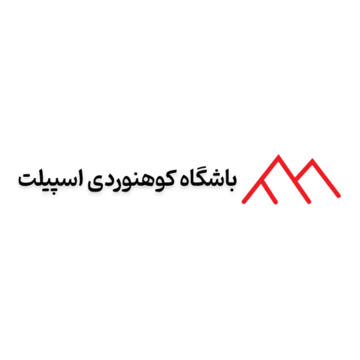 لوگو باشگاه اسپیلت