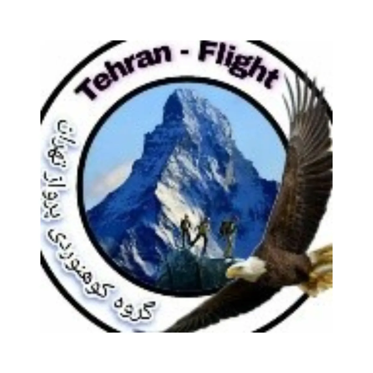 لوگو رسمی باشگاه پرواز